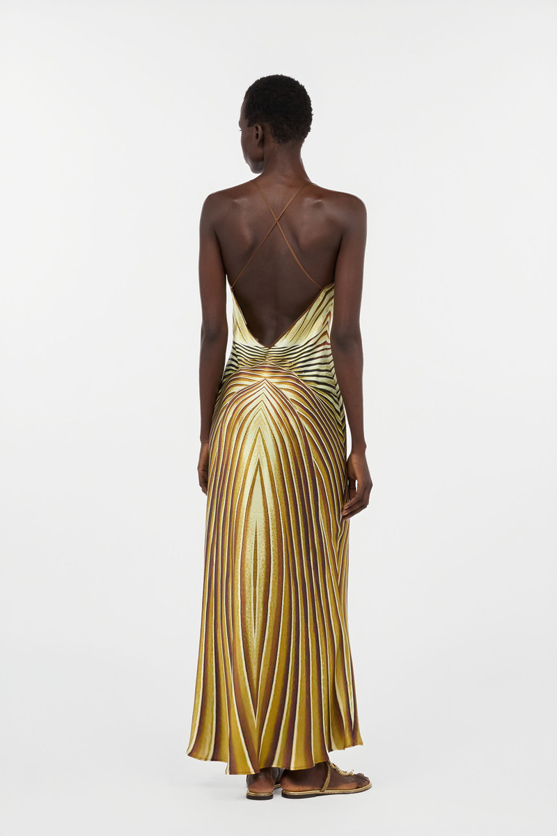 Long Silk Dress with Ray Of Gold Print 4
