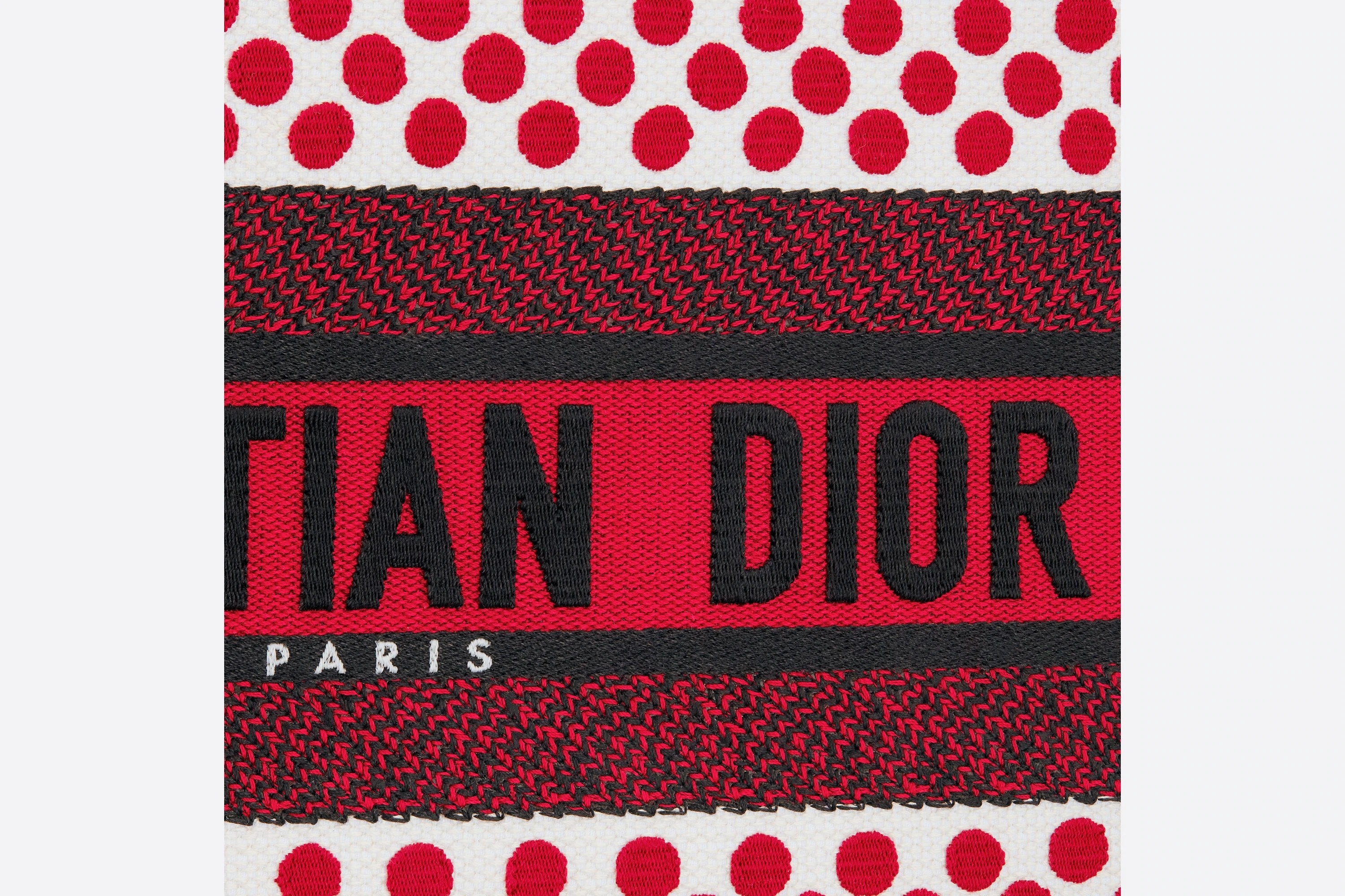 Small Dioramour Dior Book Tote - 4