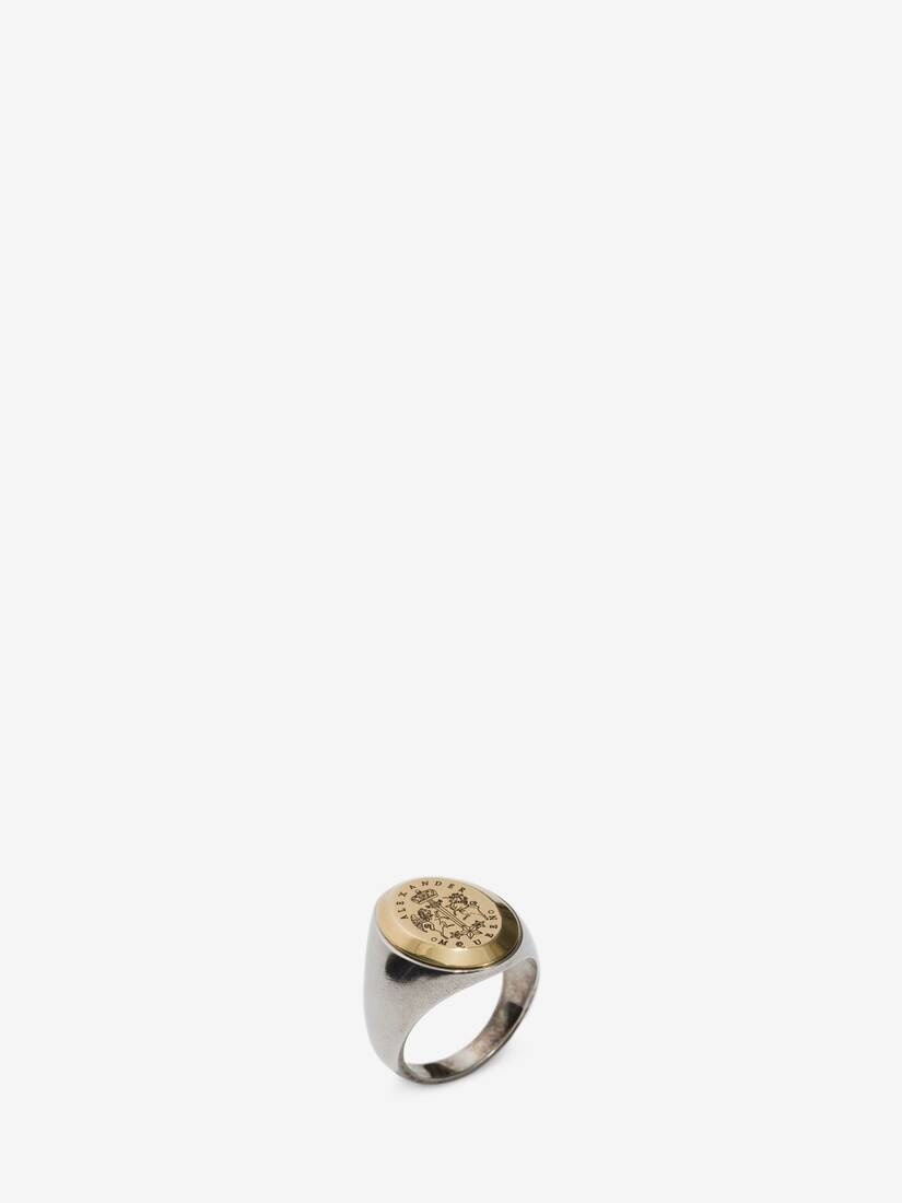 Signet Ring in Antique Silver - 2