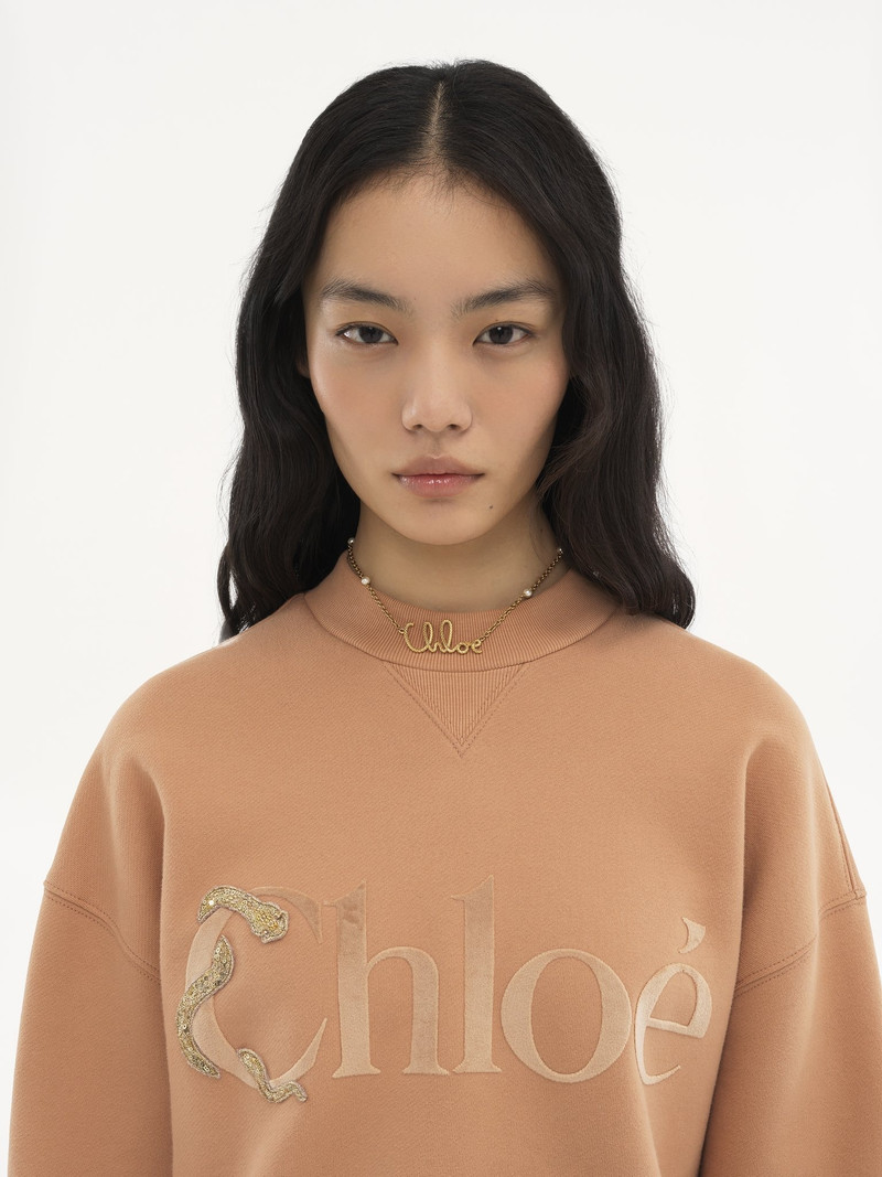 Chloé THE CHLOÉ SNAKE NECKLACE outlook