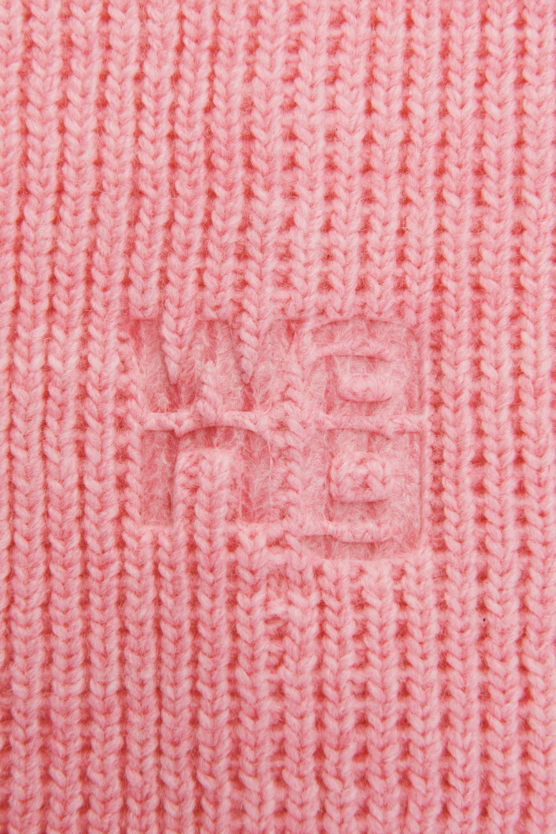 Alexander Wang Logo balaclava in compact deboss outlook