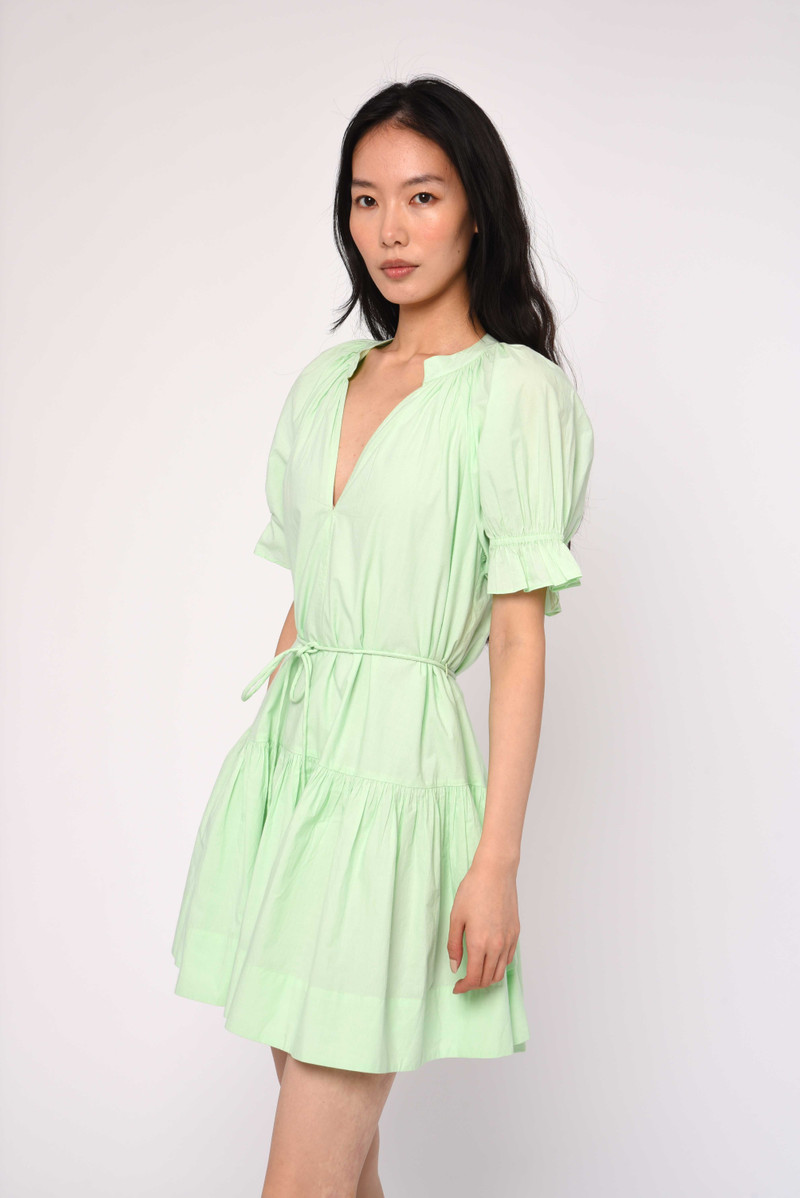 Savannah Mini Dress 2