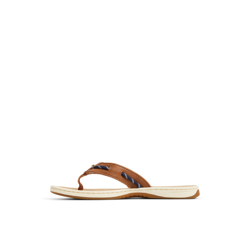 SPERRY Seafish 2 Thong Sandal outlook
