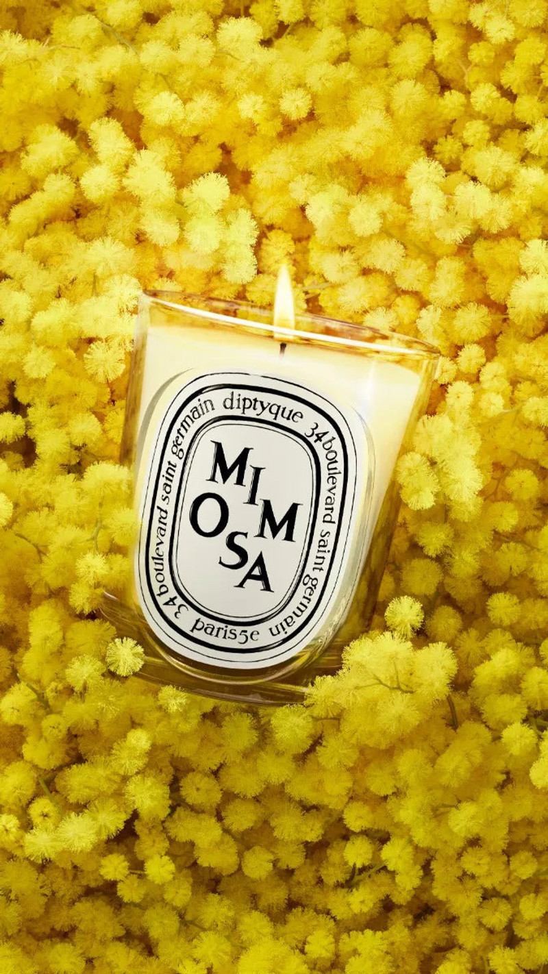 Mimosa - Refill for classic candles 4