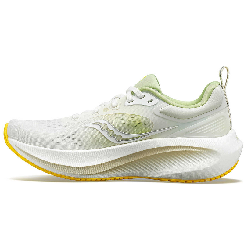 Surge 3 Mesh 2