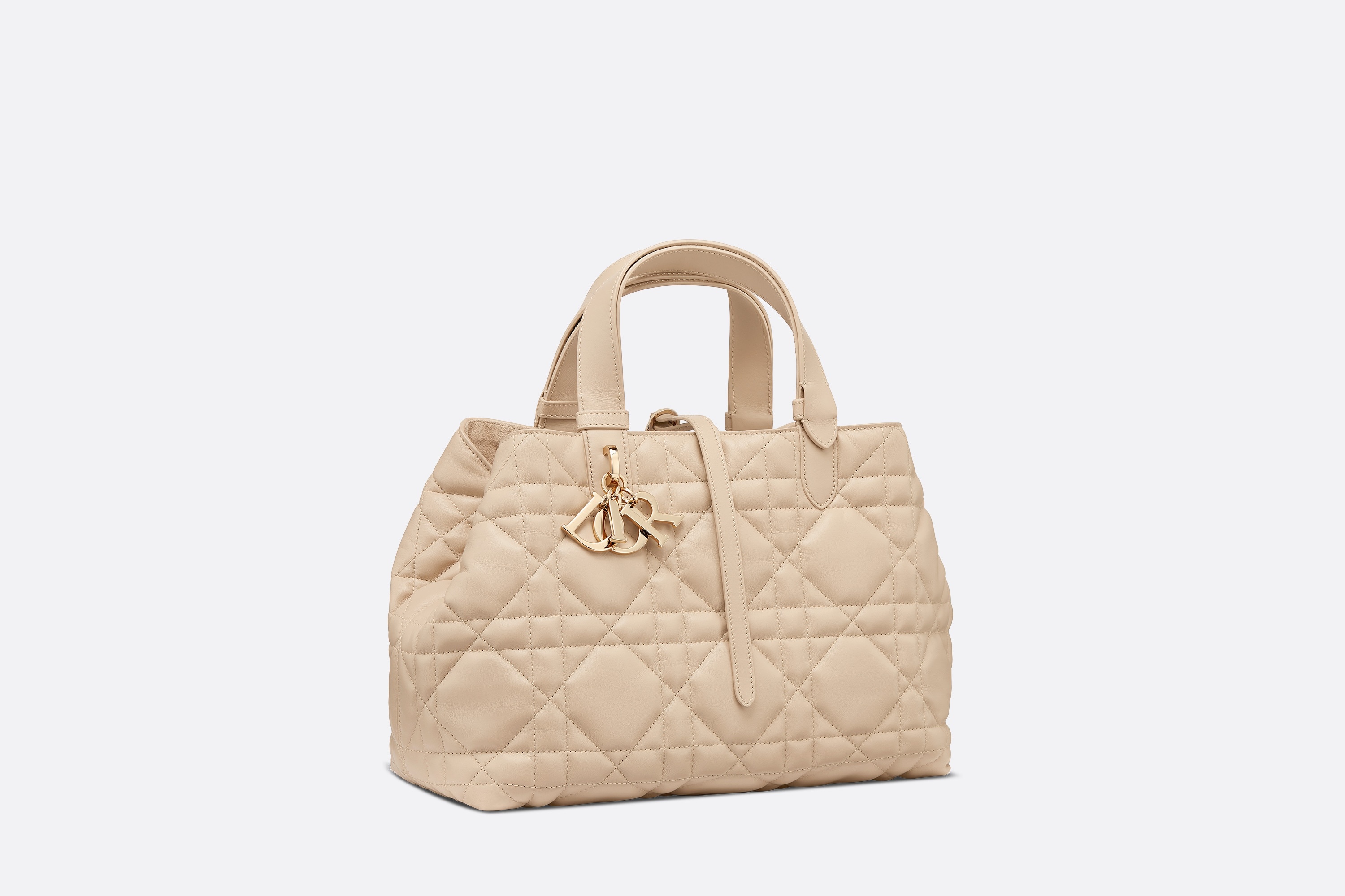 【直営・関税送料込】Medium Dior Toujours Dior Medium Dior Toujours Bag | REVERSIBLE
