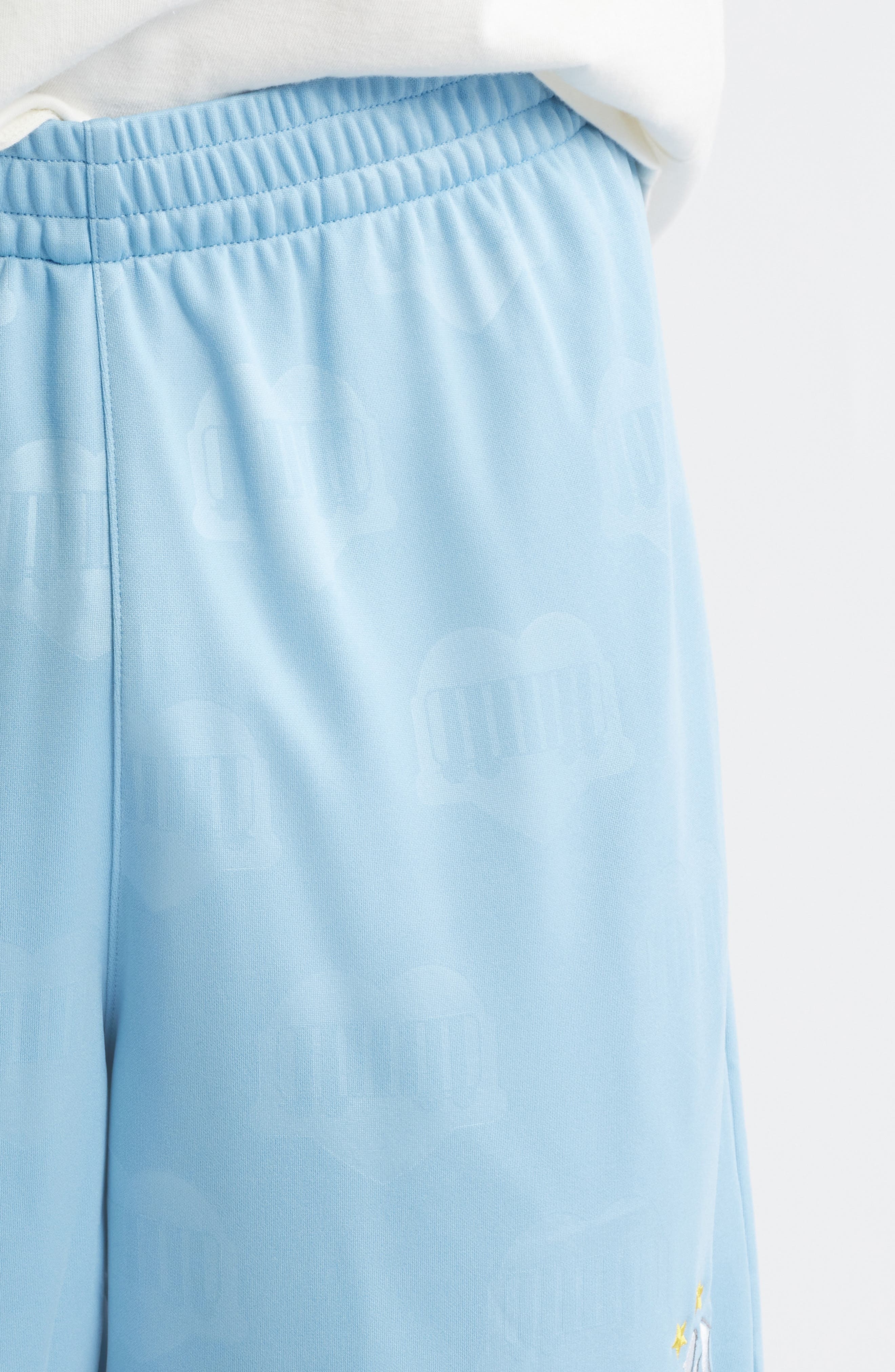 Carhartt Work In Progress Hartts Jacquard Football Shorts in Heart Train Jacquard Bluebird at Nordst - 4