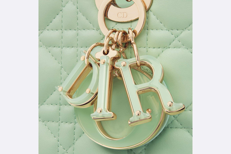Small Lady Dior Bag 6
