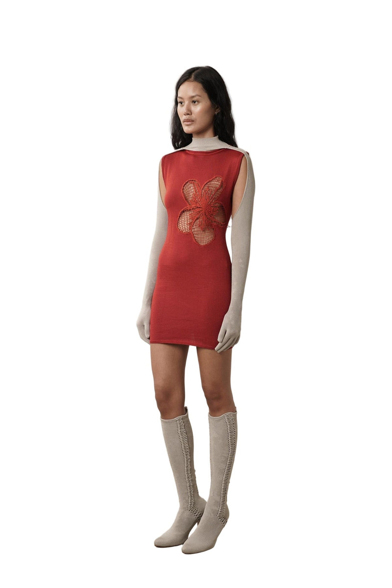 ISA BOULDER FRANGIPANI CARVE DRESS (CHERRY) outlook