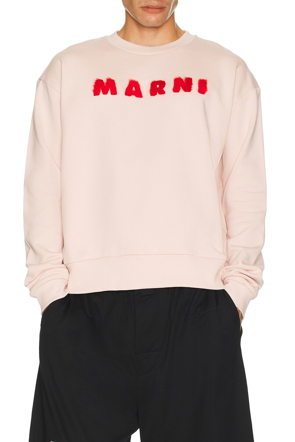 Sweatshirt - 4