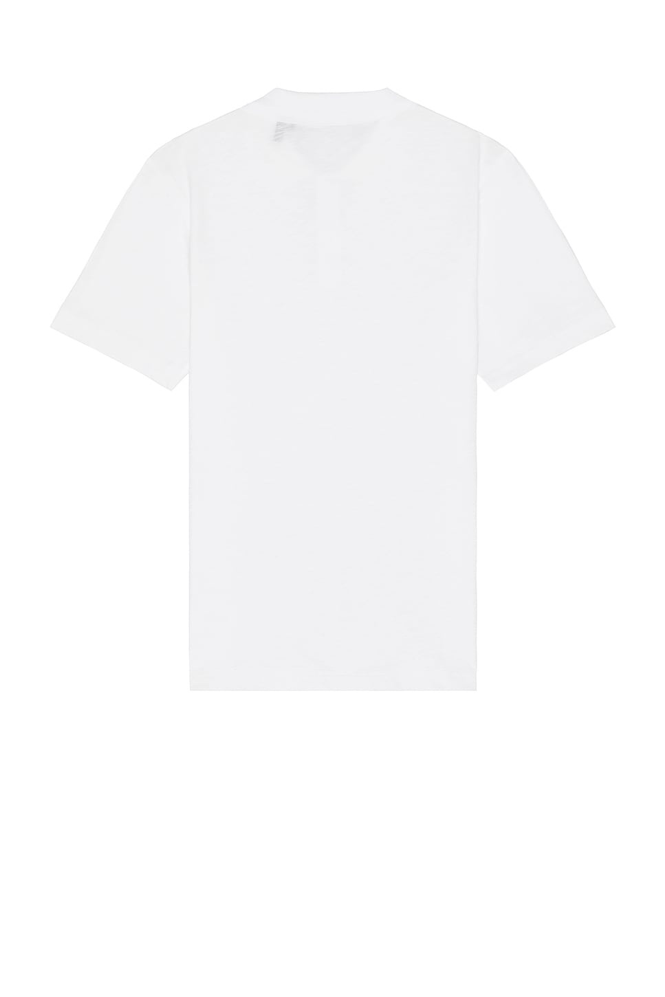 Cosmos Polo - 2