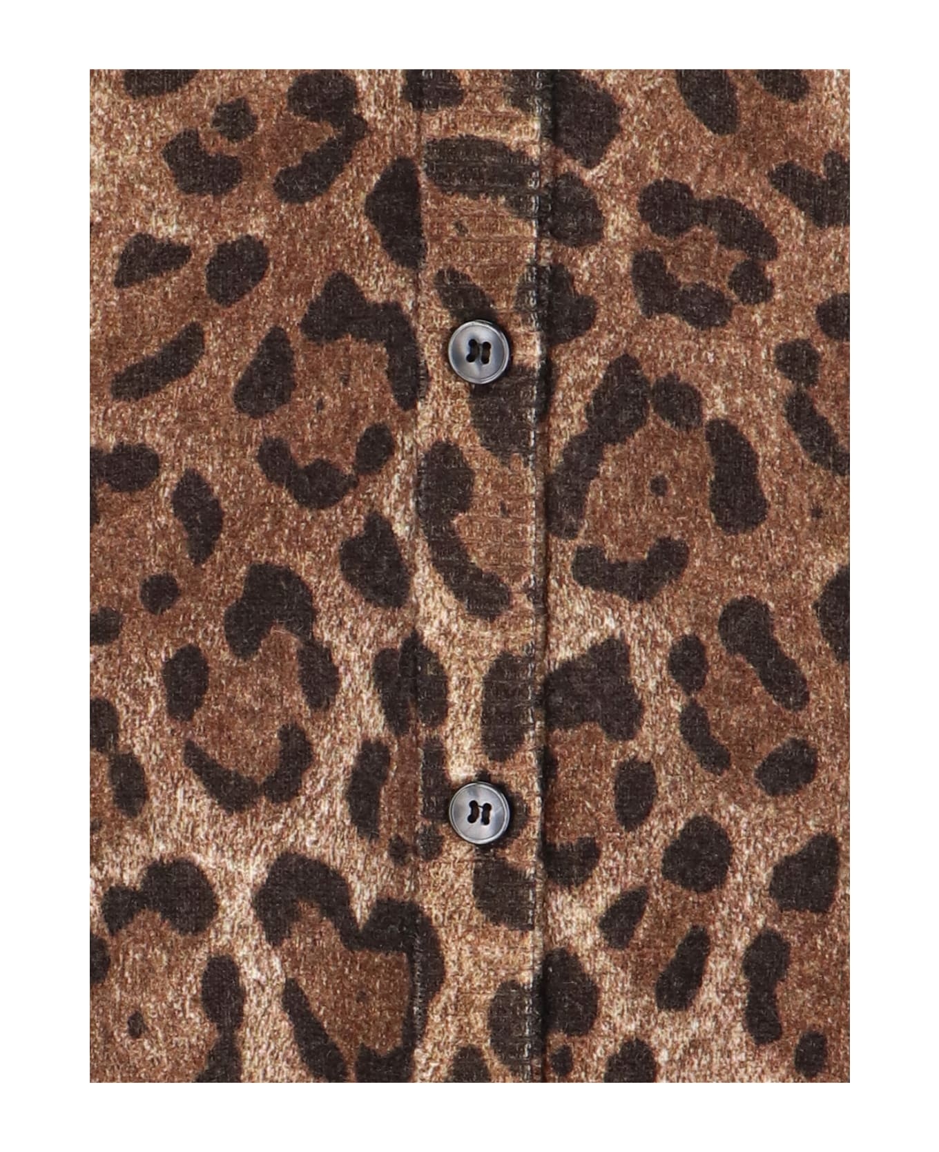 Animal Print Cardigan - 5