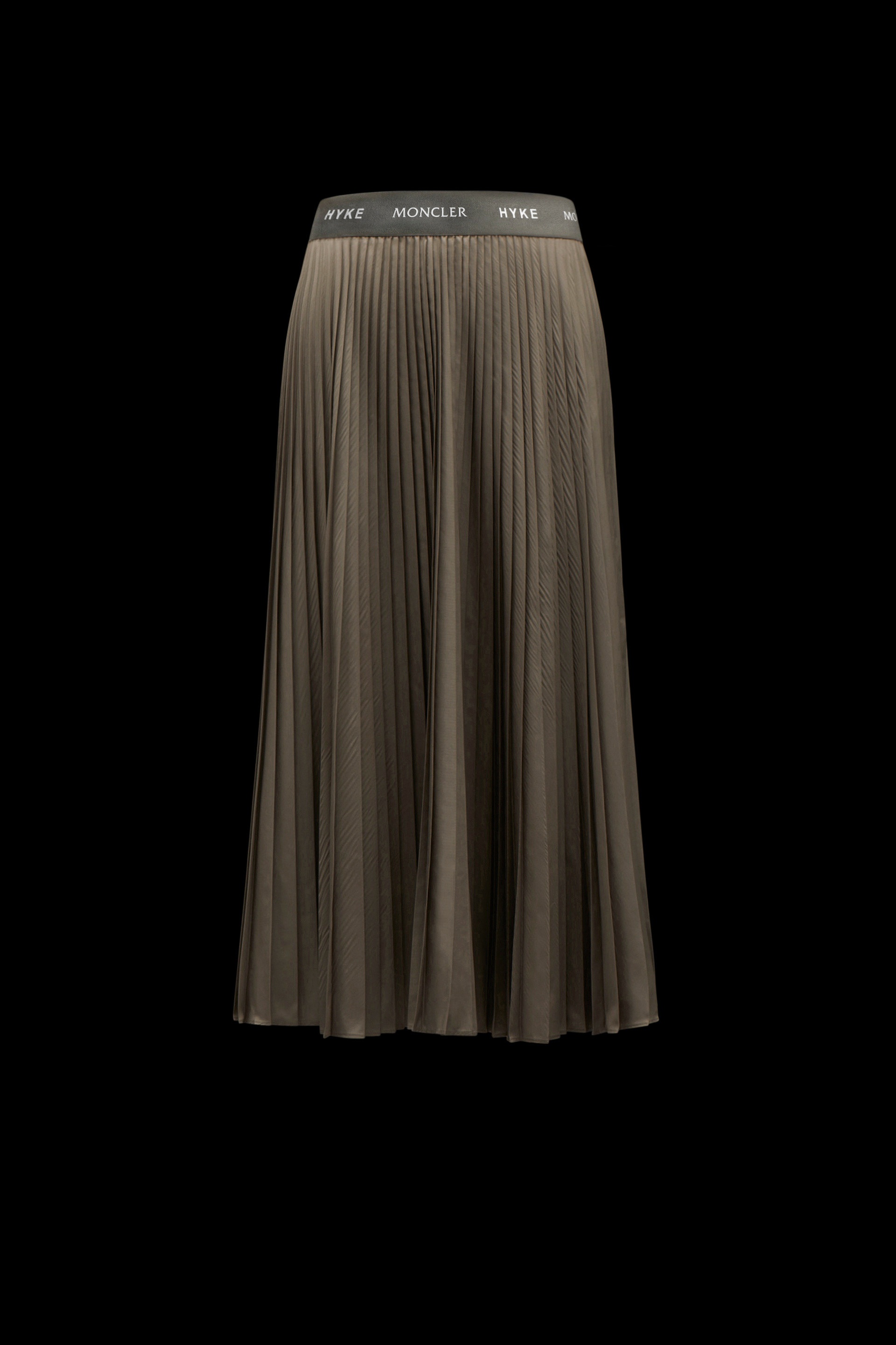 Pleated Skirt - 1