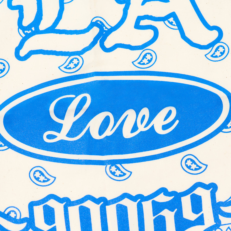 PALACE PALACE BANDANA WHITE outlook