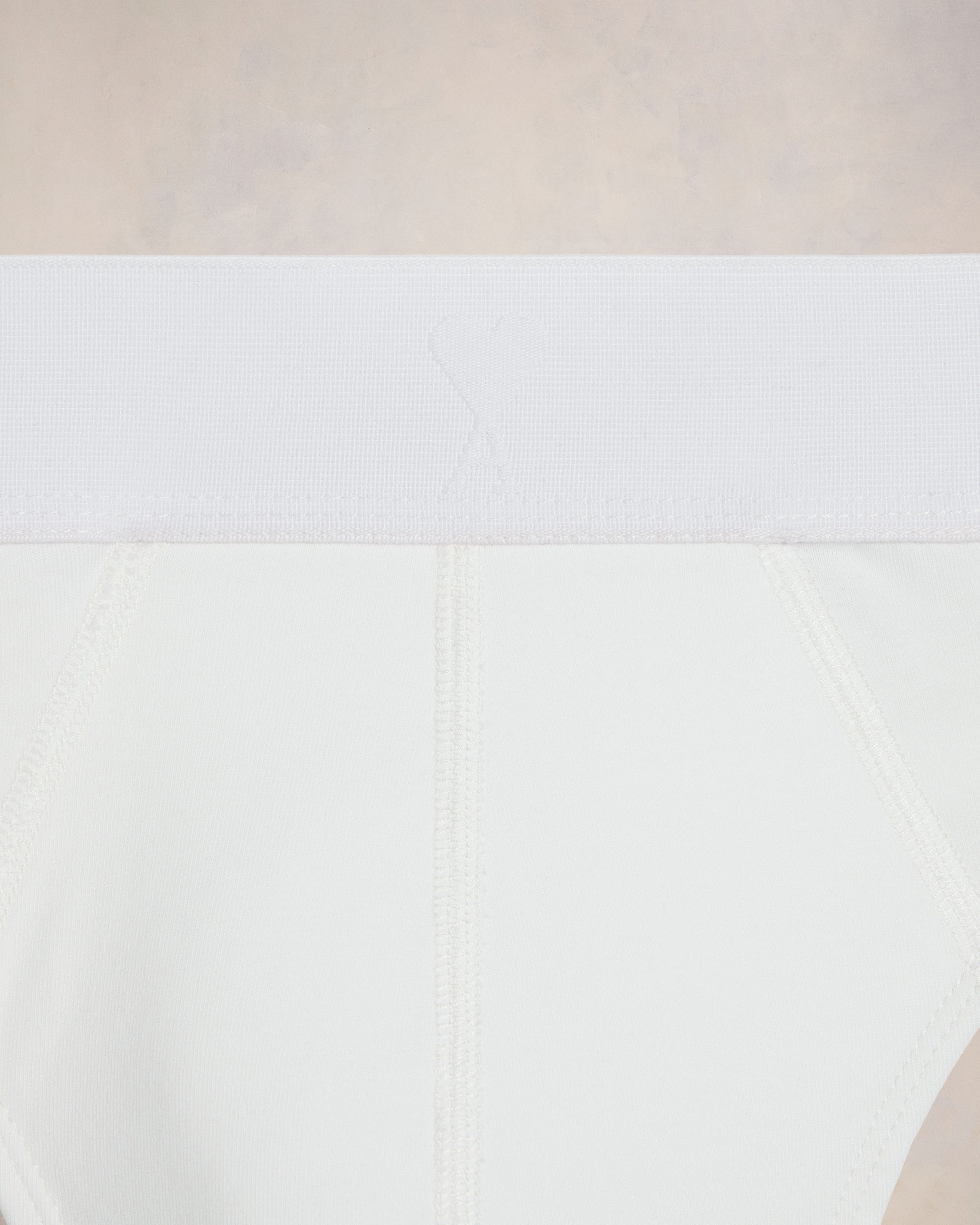 AMI DE COEUR BRIEF - 2
