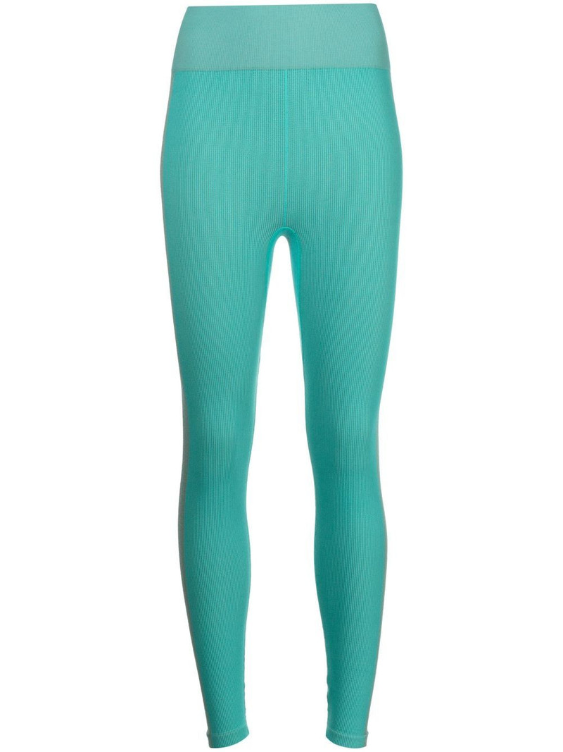 seamless ribbed leggings 1