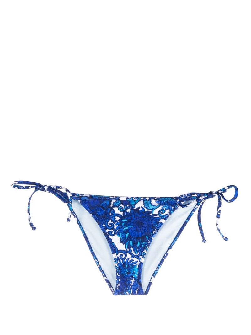 triangle bikini bottom 1