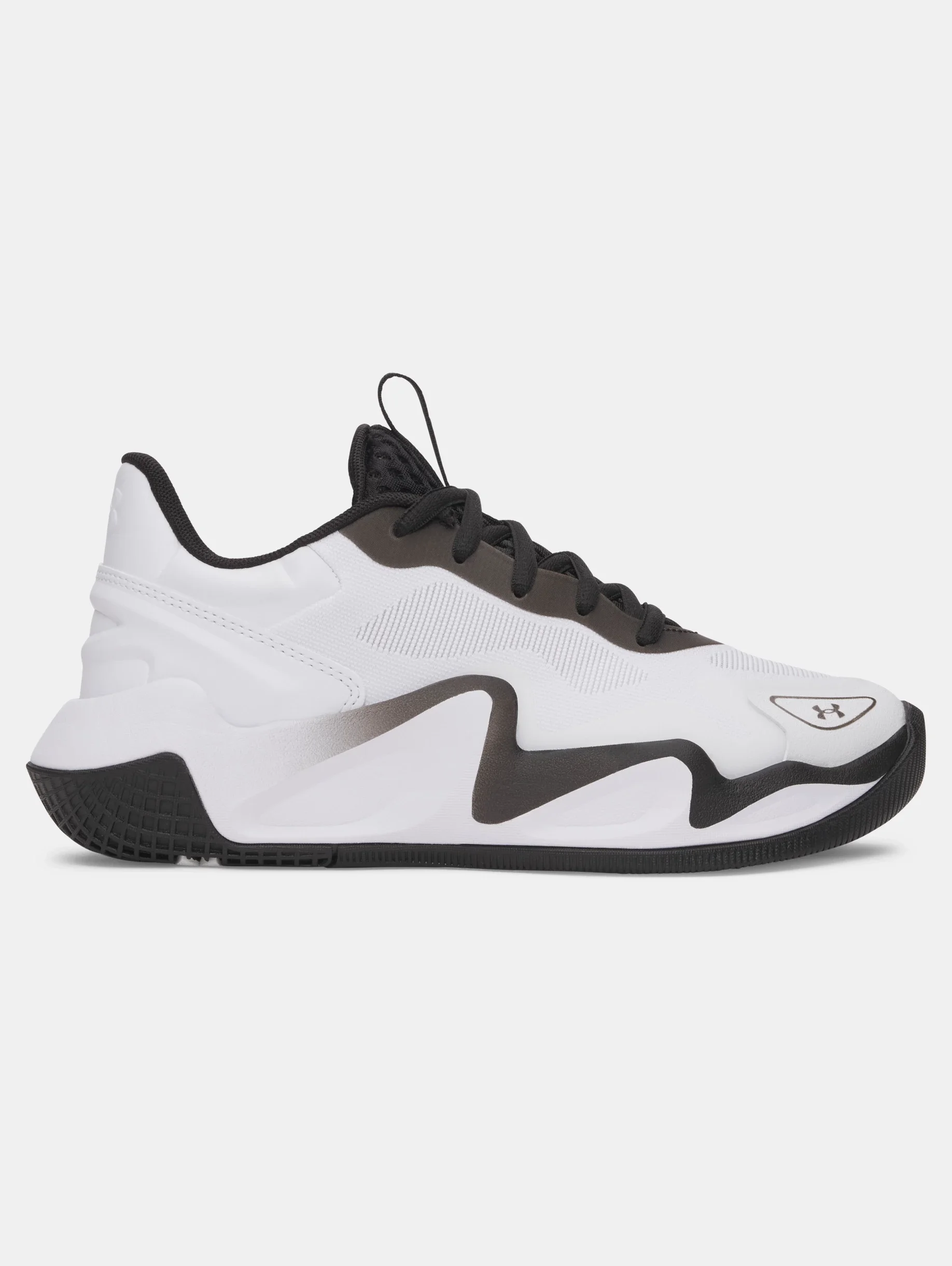 UA Ace Low 2 - 1