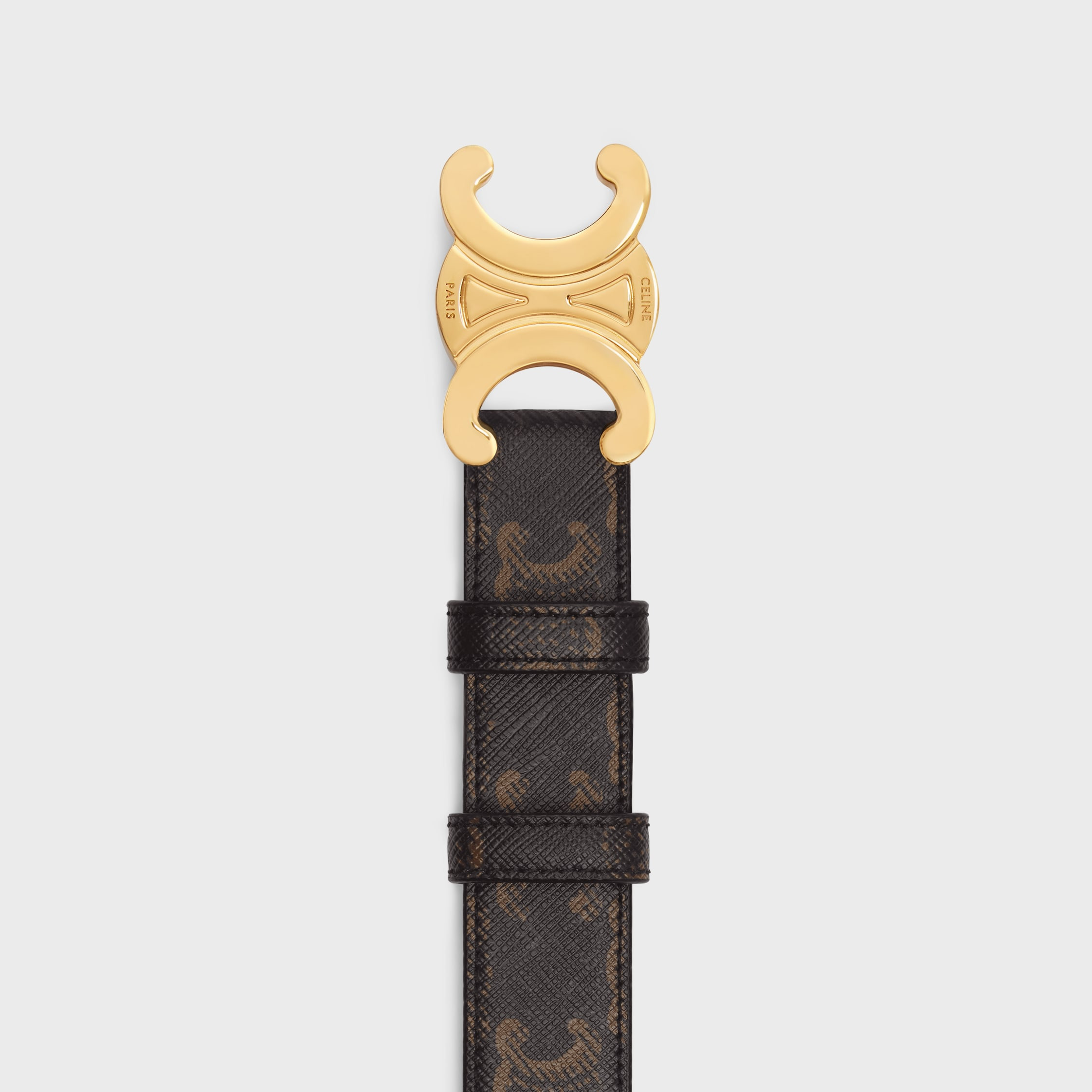 Medium Triomphe Belt in Triomphe Canvas - 3