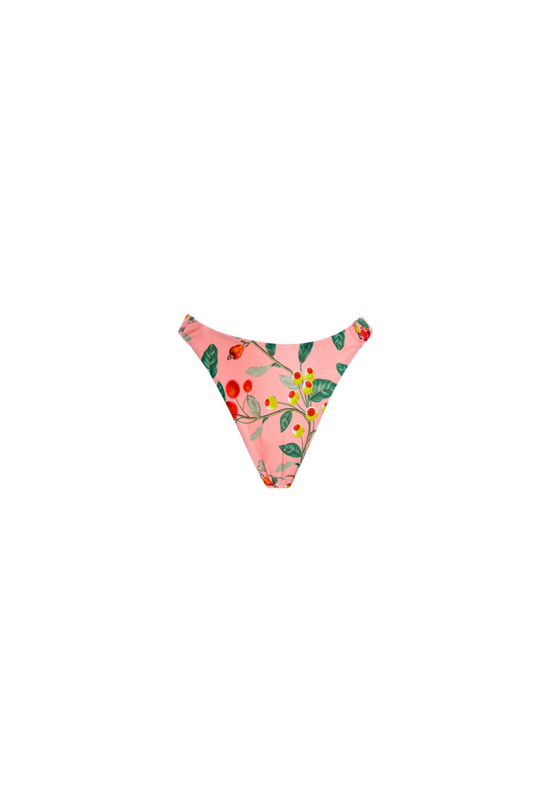 Maranon Frutal Bikini Bottom 1