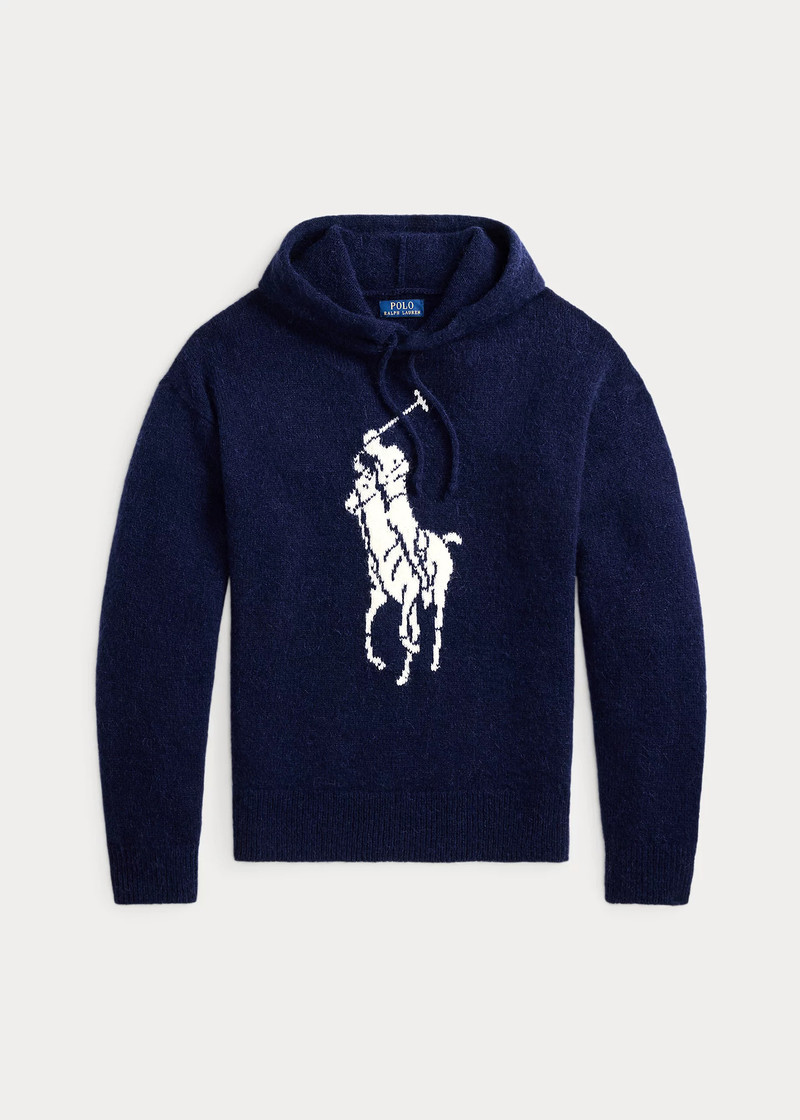 Big Pony Wool-Blend Hooded Sweater 1