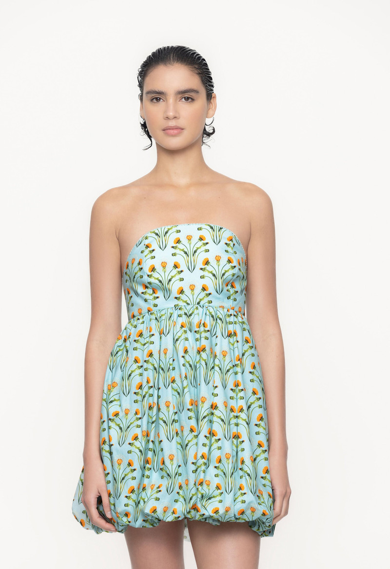 Anamu Diente de Leon Mini Dress 5