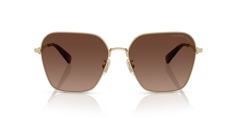 COACH HC7168 CW189 outlook