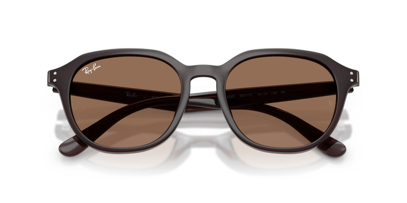 Ray-Ban RB4459D outlook