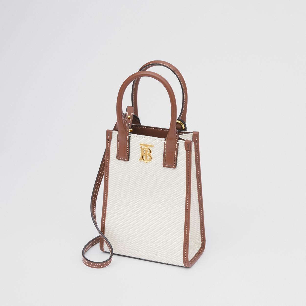 Micro Canvas and Leather Frances Tote - 4