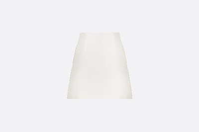 Dior Miniskirt outlook