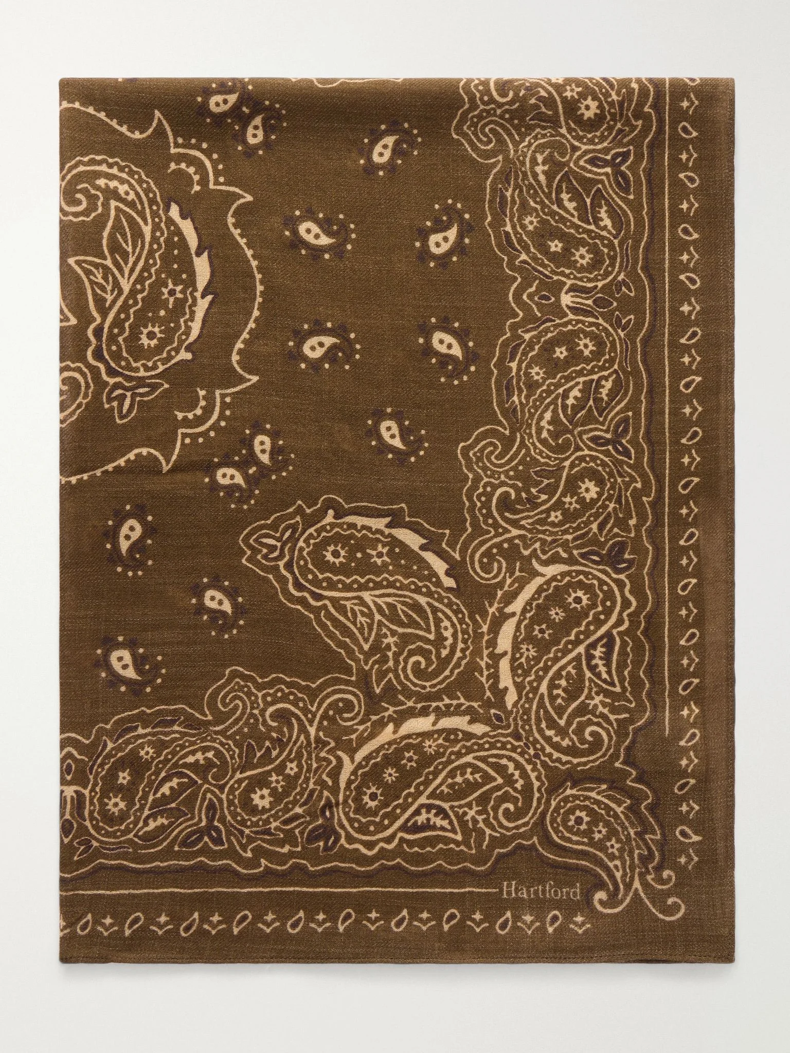 Printed Wool Scarf Green - 1