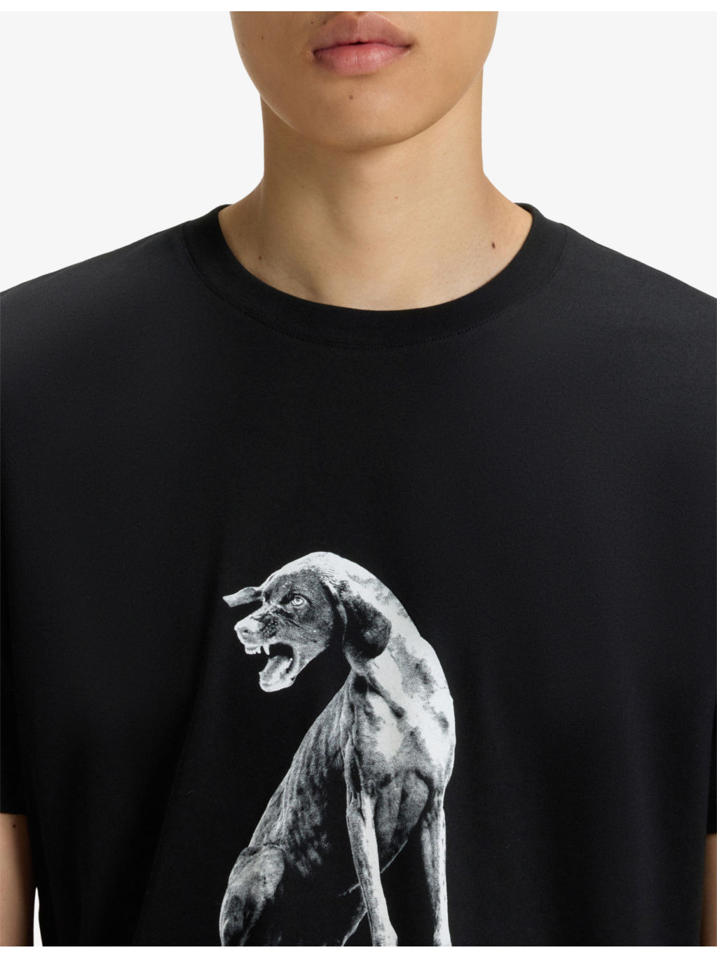 Dog-Print Short-Sleeved Cotton-Jersey T-Shirt - 5