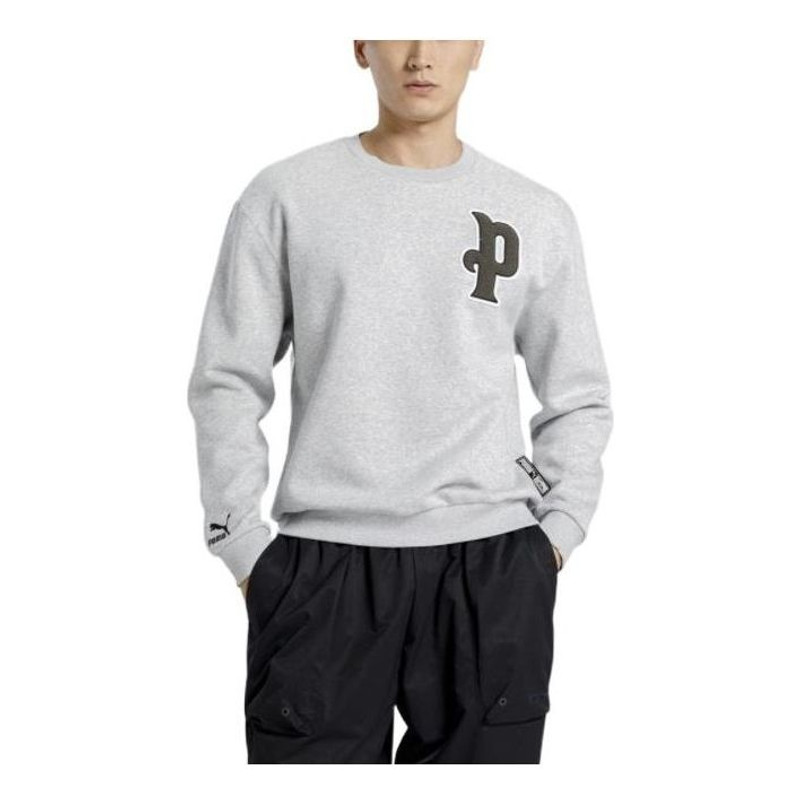 PUMA 다양성 로고 Swaetshirt '회색'534383-04 - 1