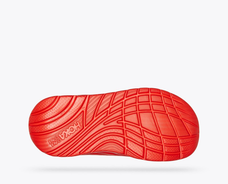 All Gender Ora Recovery Slide 6