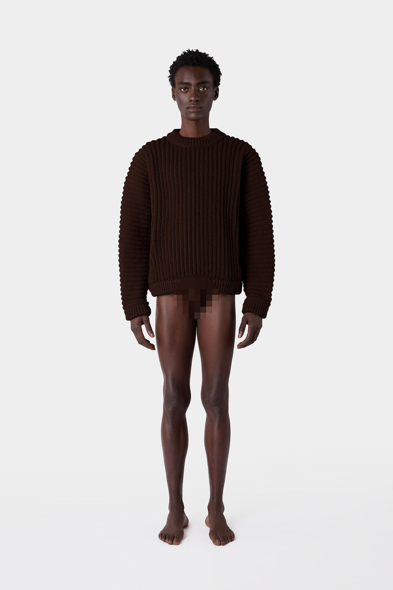 ROUND NECK SWEATER / brown 5