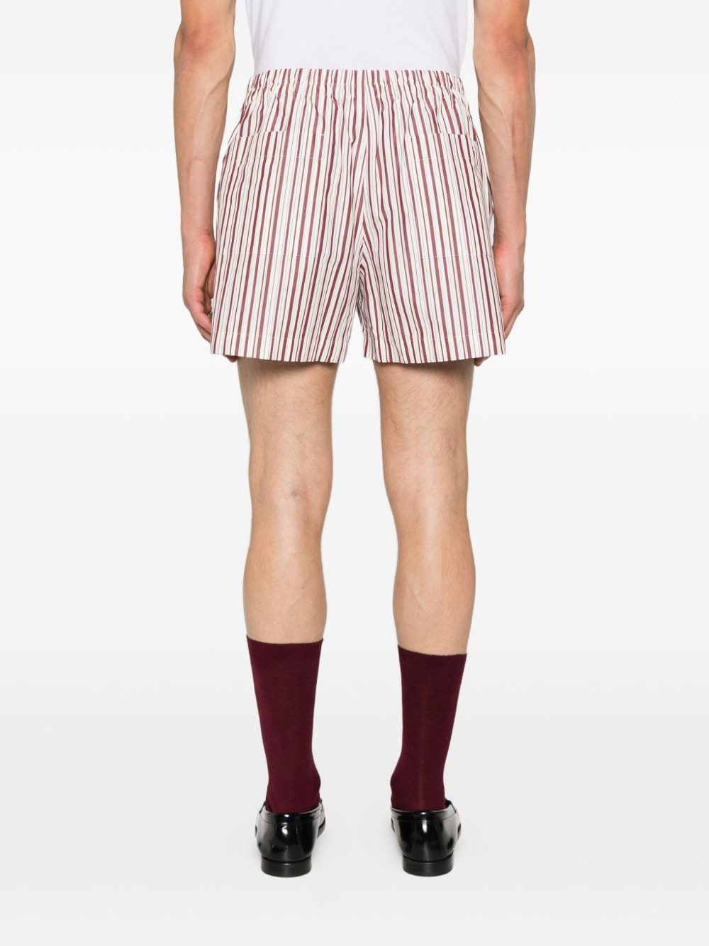 striped cotton shorts - 4