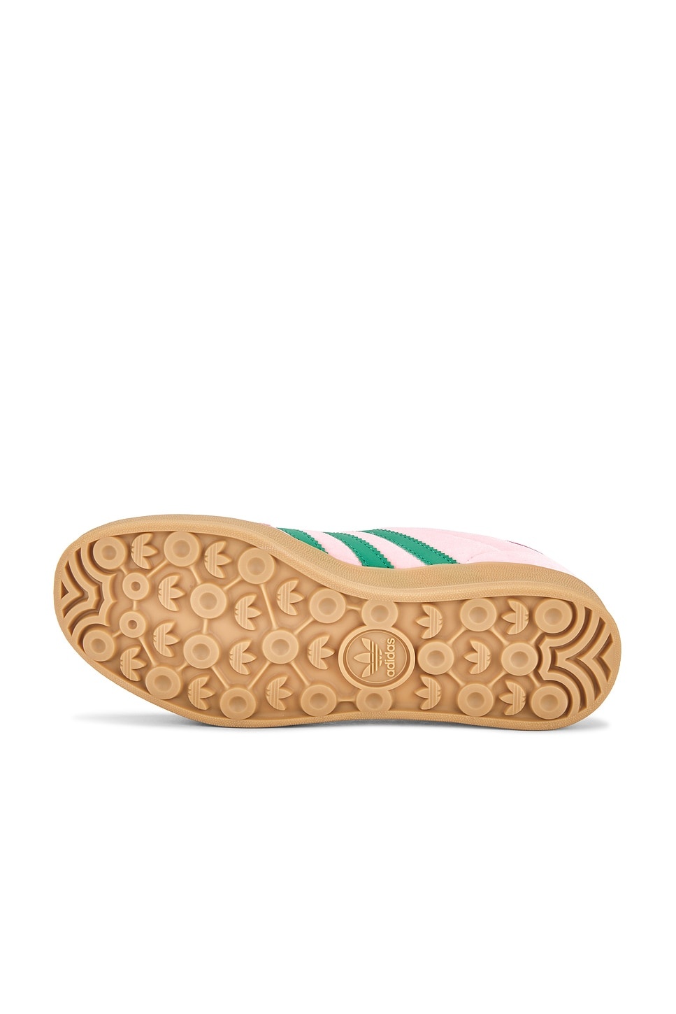 Gazelle Indoor - 6