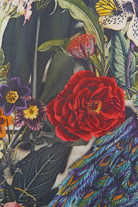 View image 7
