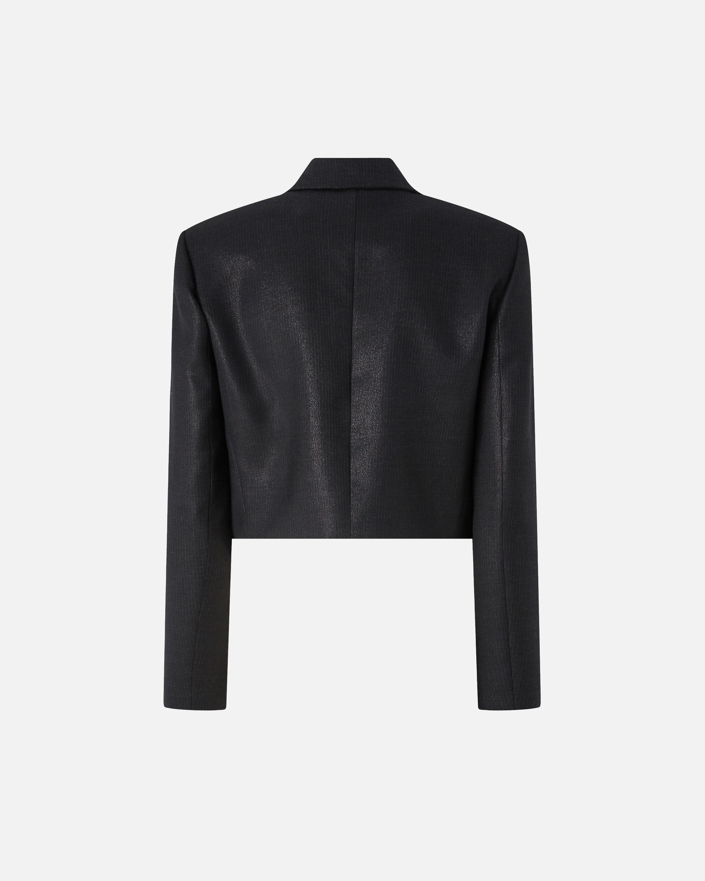 SHINY-EFFECT PINSTRIPED SPENCER JACKET - 6