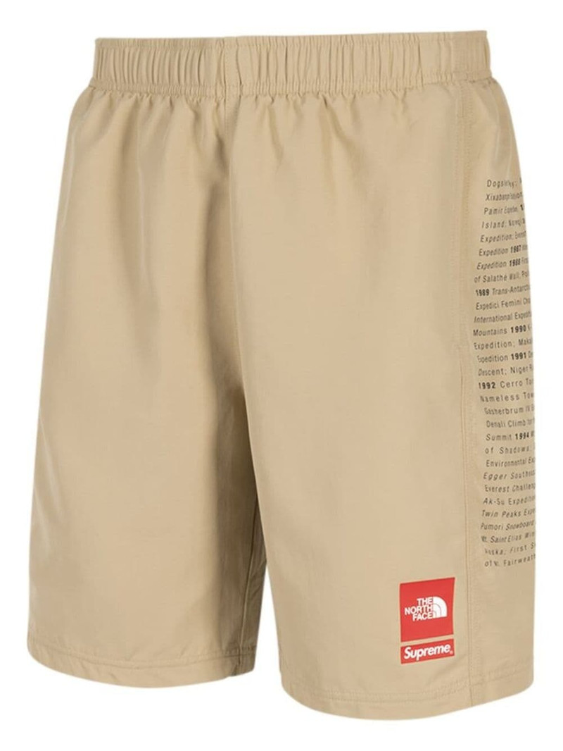 Supreme x The North Face Bermuda shorts outlook