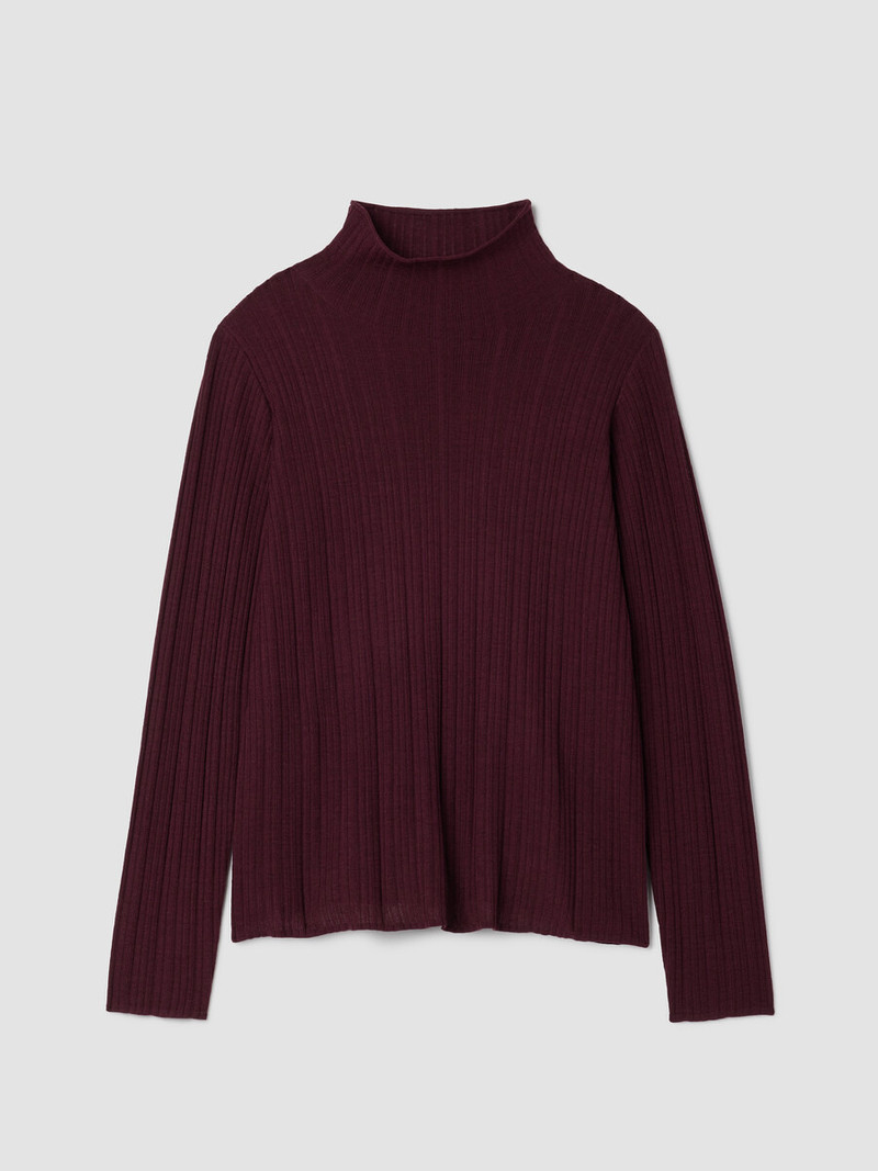 Superfine Merino Turtleneck Top in Regenerative Wool 1