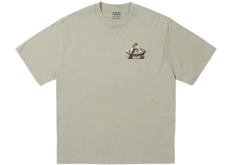 PALACE Palace x Oakley T-Shirt (FW24) Grey outlook