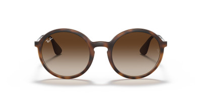 Ray-Ban RB4222 outlook