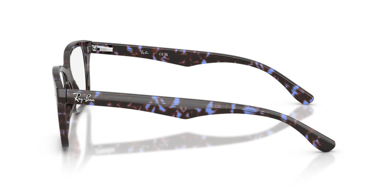 RB5228 OPTICS 5