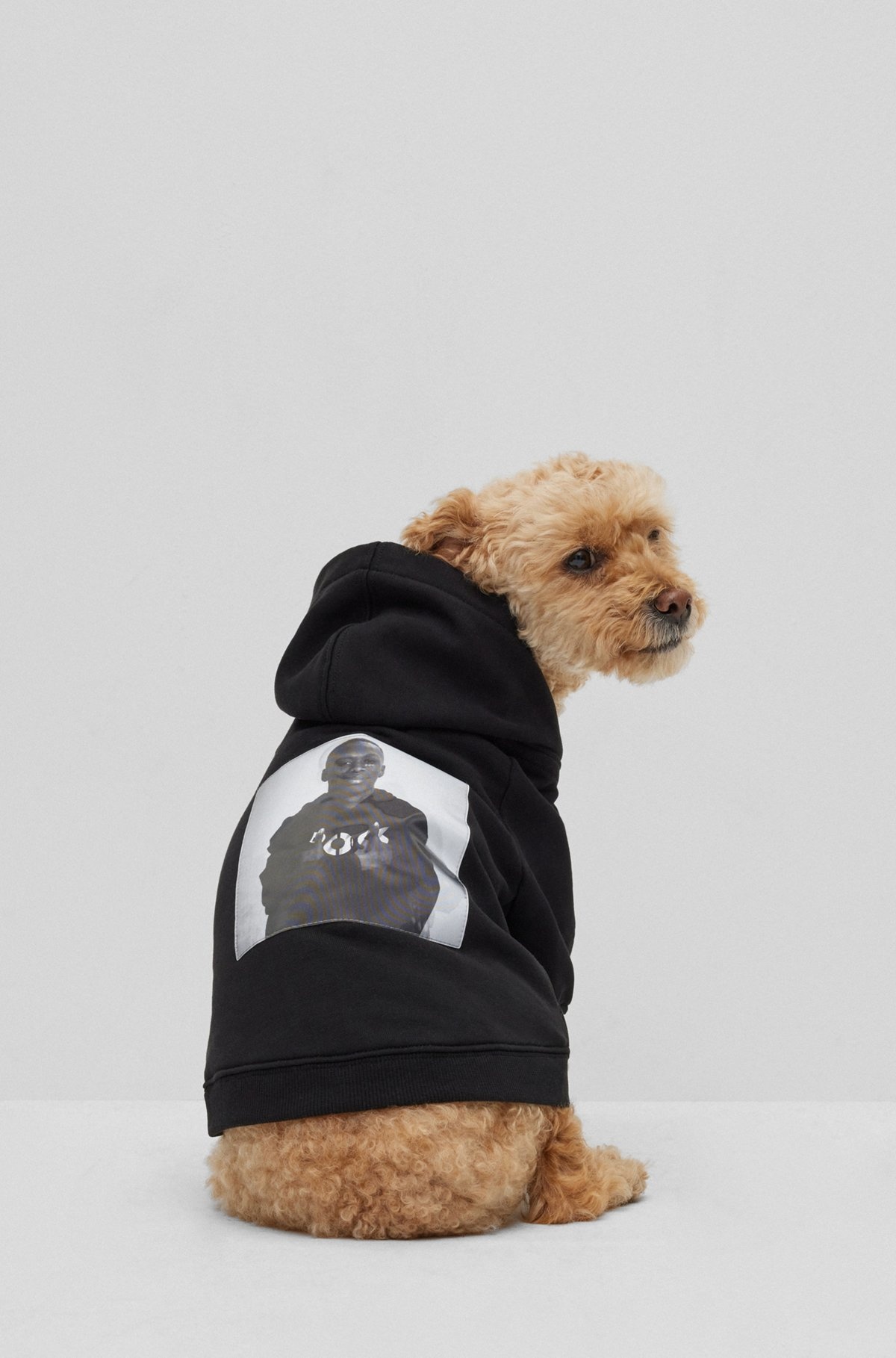 DOG HOODIE IN COTTON WITH KHABY LAME-INSPIRED ARTWORK - 6