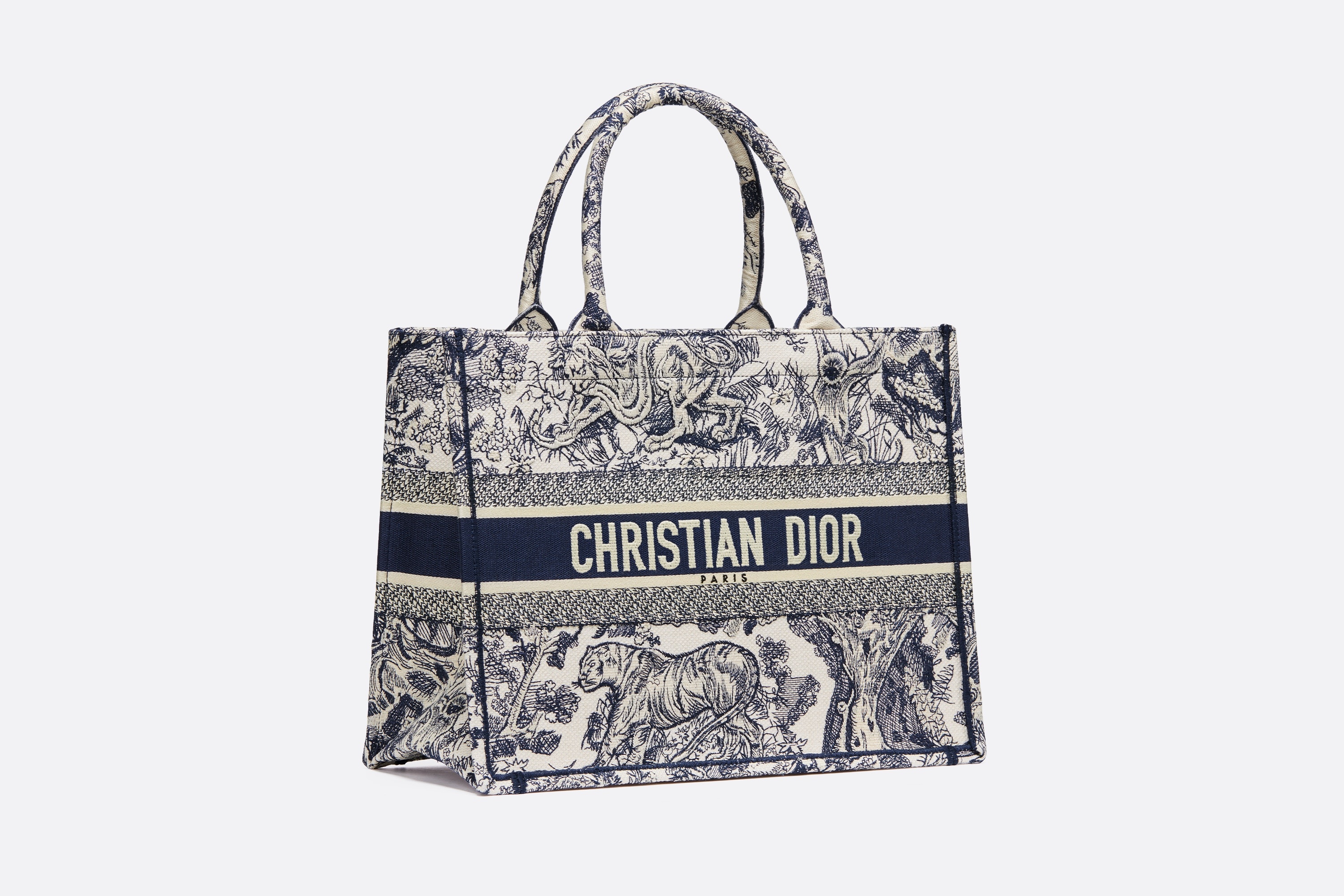 Medium Dior Book Tote - 2