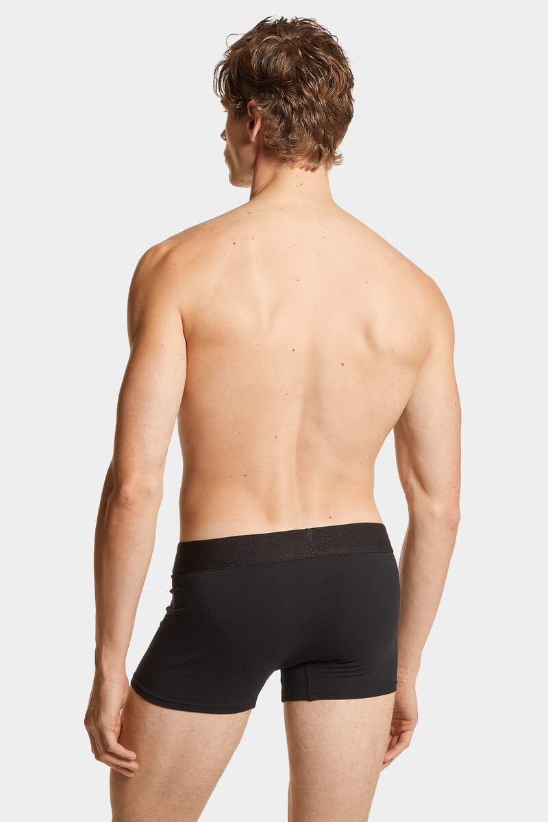 ICON TRUNK - 4