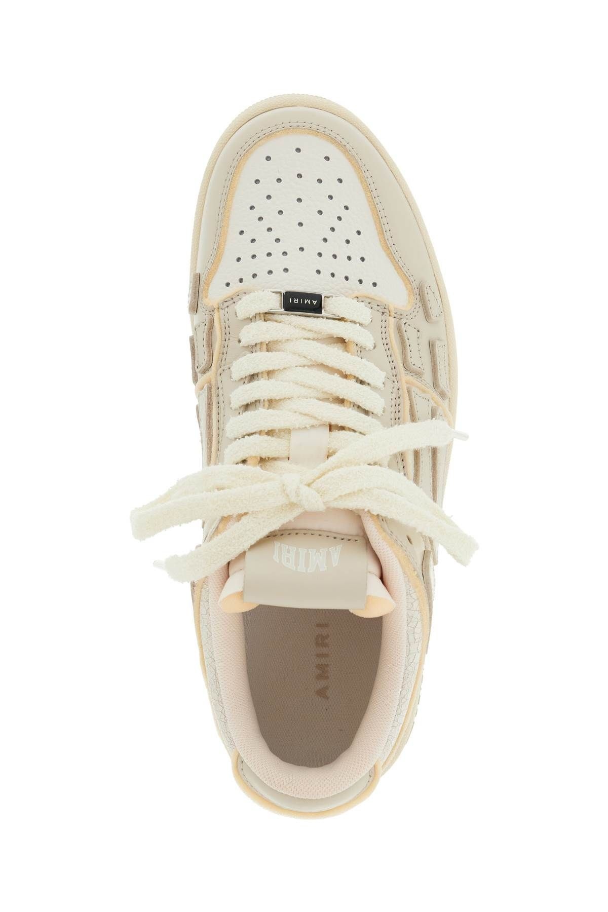 COLLEGIATE SKEL TOP LOW SNEAKERS - 3