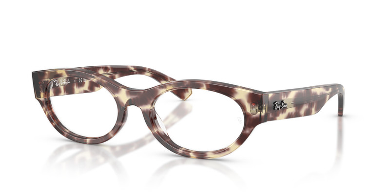 RB5447 OPTICS 1