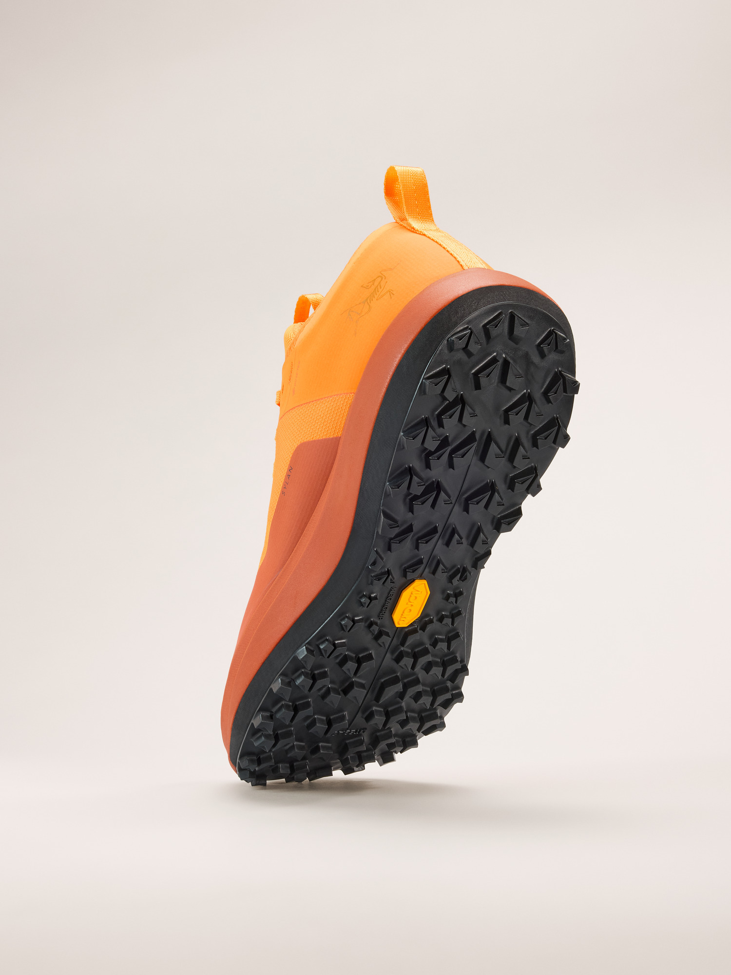 Sylan GTX Shoe - 4